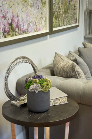 Vibrant Sedum Composition in Grey Planter