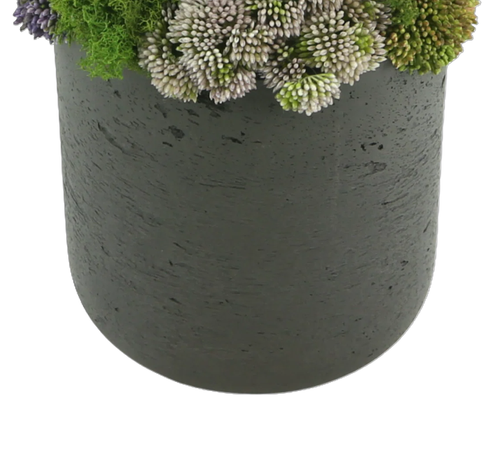 Vibrant Sedum Composition in Grey Planter